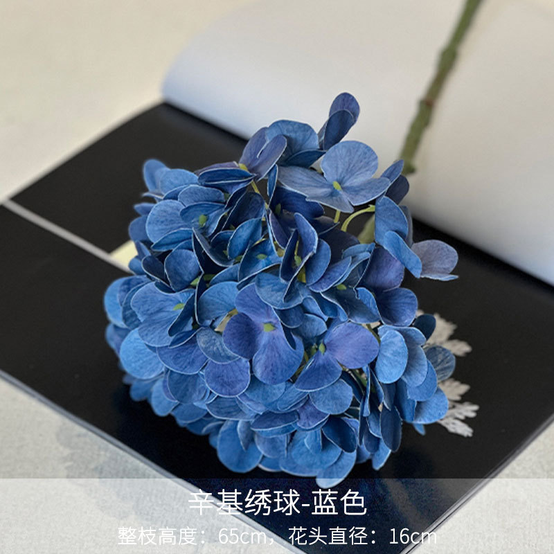 Ortensia ottilica blu