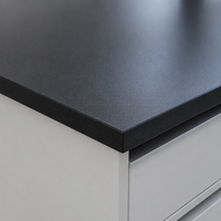Banc de laboratoire Central Island avec armoire en acier, plan de travail en résine époxy et étagère supérieure pour réactifs, pour laboratoire de recherche universitaire