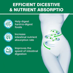 Hot Sale Probiotics Enzyme Capsules Added Digestive Enzymes Prebiotics Gut Health Nutrient Absorption Digestive System Support - Product Image 4