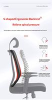 Chaise de bureau pivotante à hauteur réglable avec base chromée, chaise de bureau ergonomique en maille avec appui-tête