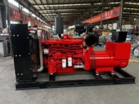 Générateur au gaz de 300 kW, type ouvert, haute efficacité, alimentation en gaz naturel, groupe électrogène de secours commercial