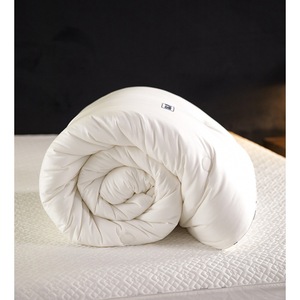 Edredón de Tela de Algodón y Relleno de Poliéster, Antibacteriano y Antiácaros, Grueso y Cálido para Invierno, para Cama Doble - Product Image 3