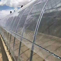 Serre Agricole Multichapelle à Film Galvanisé, Direct Usine