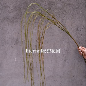 Branche de saule artificielle Secret Garden 120 cm, verte, en plastique souple, pour décoration murale de mariage et de maison - Product Image 4