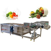 Déshydrateur alimentaire industriel, machine de séchage à air froid avec ventilateur, nettoyage à bulles d'air ozone, machine de lavage et de séchage des fruits