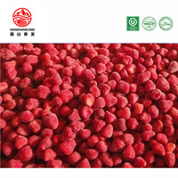 Diepvries Aardbeien IQF Gehele Diepvries Aardbeien Natuurlijke Kleur Diepvries Fruit 10Kg Karton voor Export Groothandel