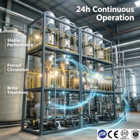 Evaporador Continuo Multietapa Flash para Desalinización de Agua de Mar y Concentración de Salmuera, SS304, CE, ISO, para Procesamiento Químico