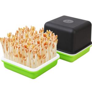 Home Kitchen DIY Peanut bud Culture Plastic Tray Hydroponics Seed Tray