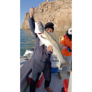 Barco de pesca de alta velocidad deportivo atún de 32 pies, cebo de pesca de fibra de vidrio barato, barco de velocidad, yate, juego de agua con tapa dura de fibra de vidrio - Product Image 6