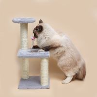 Griffoir pour chat en bois massif à usage quotidien Griffoir pour chaton Adorable grimpeur Adorable griffoir pour chaton intégré