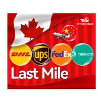 Ever Ocean Fast Delivery Ddp Last Mile Door International Trucking Express Courier Air Shipping Agent de China a EE. UU. Canadá
