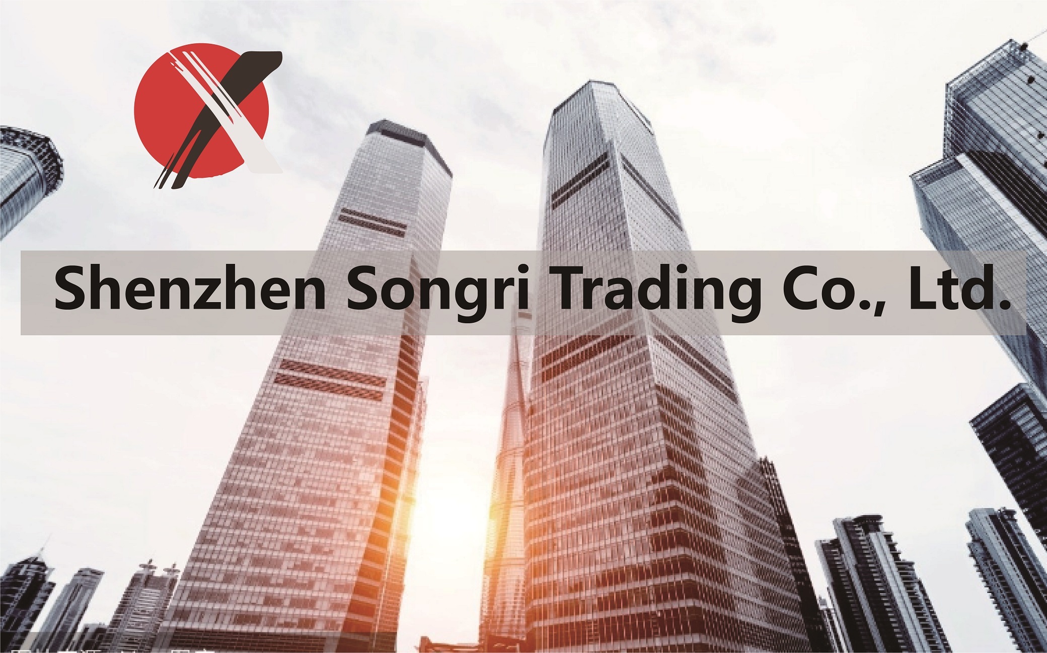Shenzhen Songri Trading Co., Ltd.