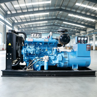 Groupe électrogène au gaz naturel 30 kVA 40 kVA 50 kVA 100 kVA 220 V 380 V, générateurs industriels diesel pour soudage