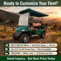 Voiturette de golf électrique Tarion 4 places, quatre roues motrices, pneus tout-terrain, moteur AC 60V 3.5KW, batterie 100Ah, vitesse 35KM/H, autonomie 90km