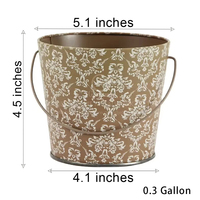 Pot de fleurs en métal pour l'extérieur de 0,3 gallon pour fleurs et décoration de jardin