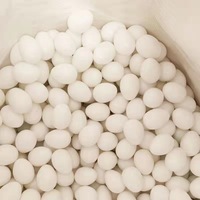 Fournitures pour pigeons : œufs artificiels en plastique, cages, nids, anneaux, aides à l'élevage des pigeons de course et d'élevage aviaire