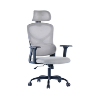 Nouvelle arrivée Chaise de bureau pivotante élégante en maille avec support dorsal Chaise inclinable en tissu pour solution de salle de bureau