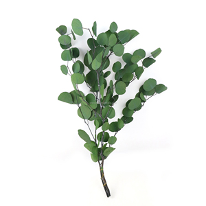 Stile nordico foglia rotonda eucalipto conservazione eterna Bouquet di fiori decorazione piante verdi foglie di mela fiore essiccato - Product Image 3