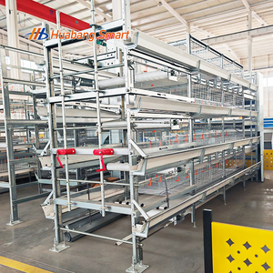 Équipement d'Élevage de Poulets de Chair Système Automatique de Type H <span class=keywords><strong>Cage</strong></span> à Poulets - Product Image 1
