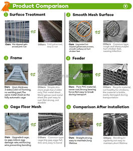 Cage à batterie pour poules pondeuses de qualité supérieure, galvanisée, type 3/4, 96/128 œufs, élevage de poulets, à vendre - Product Image 6