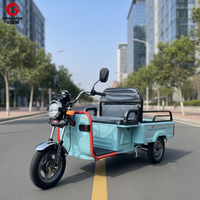 Tricycle électrique à 3 roues pour le transport de marchandises, camionnette commerciale, taxi, véhicule utilitaire, EEC, 2 personnes, van