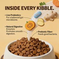 Nourriture pour chats personnalisée aux saveurs variées, soin gastro-intestinal sec, faible en gras, riche en protéines, protège les intestins sensibles, soutient la santé digestive