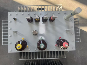 Transformador Sumergido en Aceite de Voltaje Personalizado 50/60Hz, S11/S13, 30kVA 50KVA 70KVA 100KVA 300kVA, Doble Sellado Contra la Humedad - Product Image 2