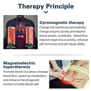 Appareil thérapeutique portable de qualité hospitalière pour le diabète avec aimant statique rotatif pour la gestion de la glycémie à domicile - Product Image 3