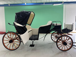 Voiture électrique silencieuse de tourisme, charrette rétro à chevaux pour la visite des paysages urbains - Product Image 6