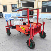 Machine à repiquer les semis, repiqueuse d'oignons, repiqueuse de légumes