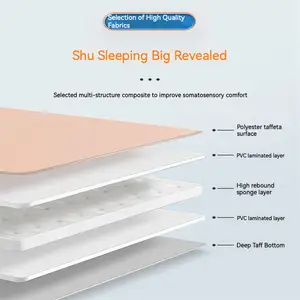 Wholesale New Arrive High Quality Inflatable Bed Mattress Camping Sleeping Mat