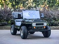 Mini UTV RC Factory de 125cc, 3 velocidades, reversa, 2 plazas, 2WD, con certificación CE, motor híbrido de 150-250HP, batería de plomo-ácido, color personalizado