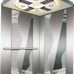 Ascensor Residencial a Medida de Fabricante Chino: Elevador de Plataforma con Panorámicas Impresionantes y Ahorro de Espacio - Product Image 2