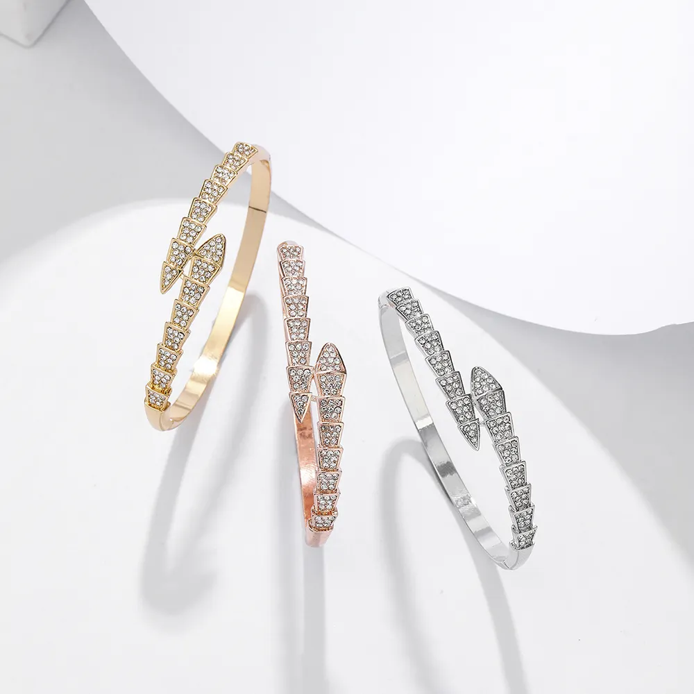 Großhandel neue Produkte 18K Goldluxus schlangenförmiges Design glänzendes Damen-Retro-Armband modisches Geschenk Paar-Armband