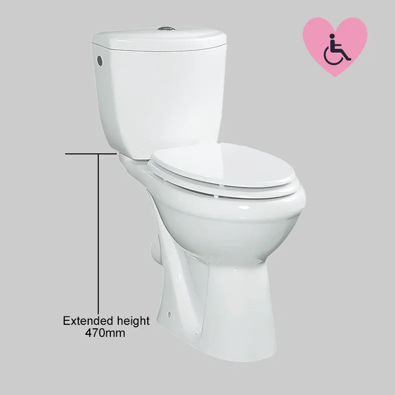 Placard à eau surélevé pour personnes handicapées, toilettes deux pièces pour personnes âgées