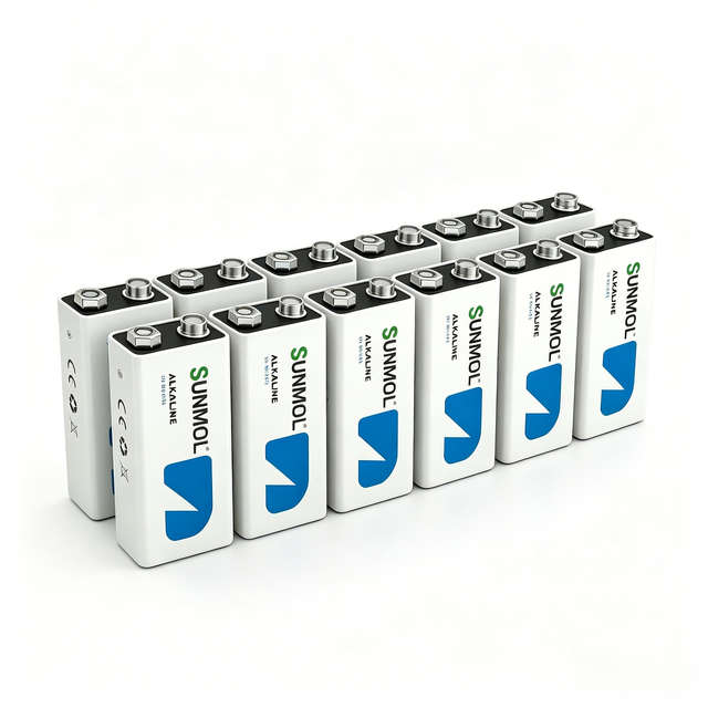 9V Alkaline Batteries Long Life Leak-Proof Durable Heavy Duty for Microphone Smoke Detector Remote Control Wholesale OEM