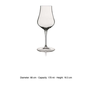 Vaso de Degustación de Licores Vinoteque 17 cl Luigi Bormioli H 16.5 cm Ø 6.6 cm - Product Image 3