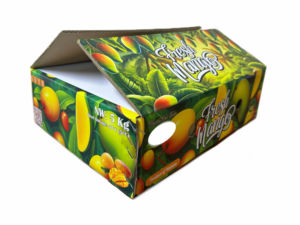 Vietnam Rectangle Carton Ondulé Client Logo CMJN Pantone Couleur Enduit Papier Mango Carton Boîte - Product Image 5