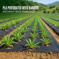 Toile de paillage perméable en PEHD robuste pour vergers agricoles, anti-vieillissement, anti-mauvaises herbes, en rouleau
