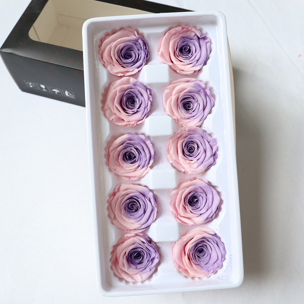 10 preserved rose flower head