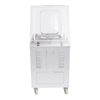 Fubei DZ-500 2 scelleuse sous vide/machine d'emballage sous vide à chambre unique