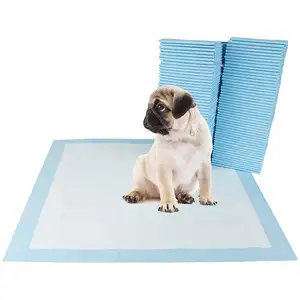 Benutzer definierte OEM 500 Gel Unscented Kompost ierbare Super Absorbent Potty Pee Training Katze Haustier Welpe Hund Pads