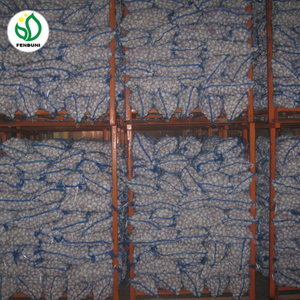 来自中国的新鲜大蒜批发价 - Product Image 2