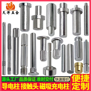 Conductive Posts Pins Magnetic Charging Contacts High Precision 20mm Max Diameter Customizable For Electrical Applications - Product Image 3