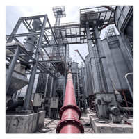 Machinerie de rizerie à riz étuvé LIKAI contrôlée par PLC avec échangeur de chaleur, capacité de 11-220 T/J, 380V/440V/220V