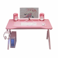Escritorio de Calidad Superior para Gaming en Forma de Z de Metal con LED RGB para Chica Flor de Cerezo Rosa, Oferta Especial, Mesa Moderna para PC para Oficina y Hogar, Incluye Vaso