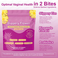 Gummies Probiotiques Vitaminées pour Femmes Adultes, Faible Teneur en Sucre, Véganes, Saveur Ananas, Soutien Immunitaire, Livraison Rapide, Faible MOQ, Prix de Gros