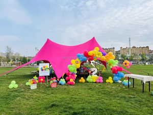 Carpa de marquesina elástica de dos o dos picos, tiendas de campaña grandes para fiestas, tiendas de campaña con protección solar, refugio solar para acampar al aire libre - Product Image 2