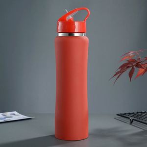 Bouteille d'eau isotherme en acier inoxydable pour pique-nique en extérieur, 600 ml, 750 ml, bouteille de sport à double paroi sous vide avec couvercle à paille, pot à boisson portable - Product Image 6