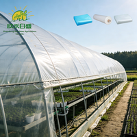 Film plastique de serre découpable manuellement, film agricole sur mesure pour petites serres à arche